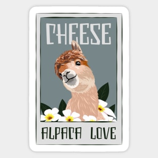 Cheese Alpaca Love Guanaco Llama Vicuna Breeder Alpaca Sticker